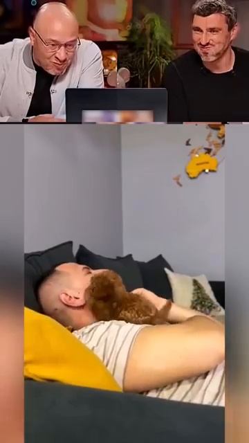 Все мужчины с собаки так