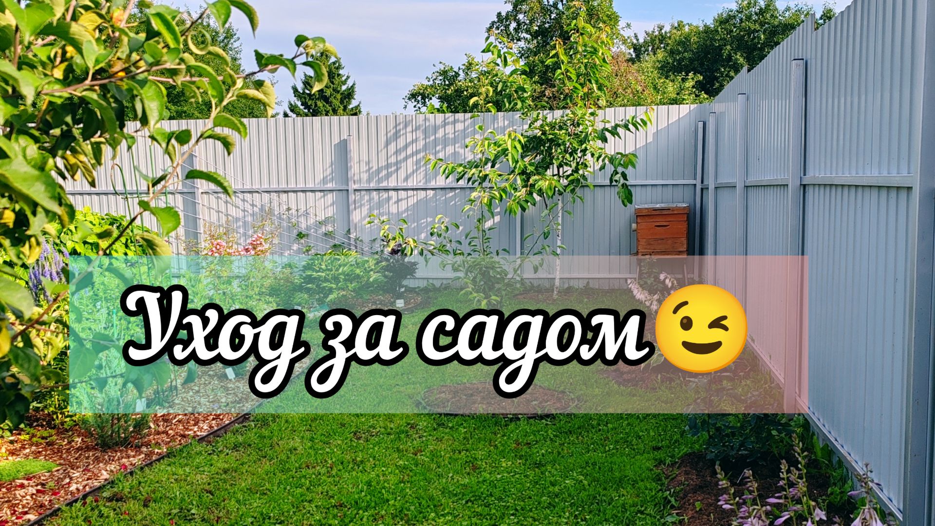 🌳 Летняя обрезка плодовых.🪏 Работа в огороде.🛍️ Покупки для сада