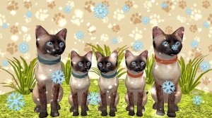 СЕМЕЙНЫЙ СИМУЛЯТОР СМЕШНЫХ КОШ