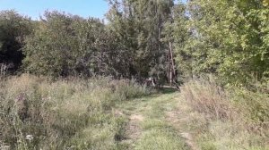 Звуки природы! Шикарный вид 🏞🏕Подпишись  кто любит природу!