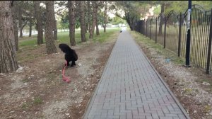 Сходили на море/Покупки/Ежедневный влог