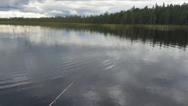 РЫБАЛКА В КАРЕЛИИ В 2023 УЛОВ ЩУК ОТДЫХАЕМ НА ПРИРОДЕ #карелия #лето #рыбалка смотреть онлайн