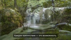 Отражения реальности: Красивые кадры в воде и зеркалах