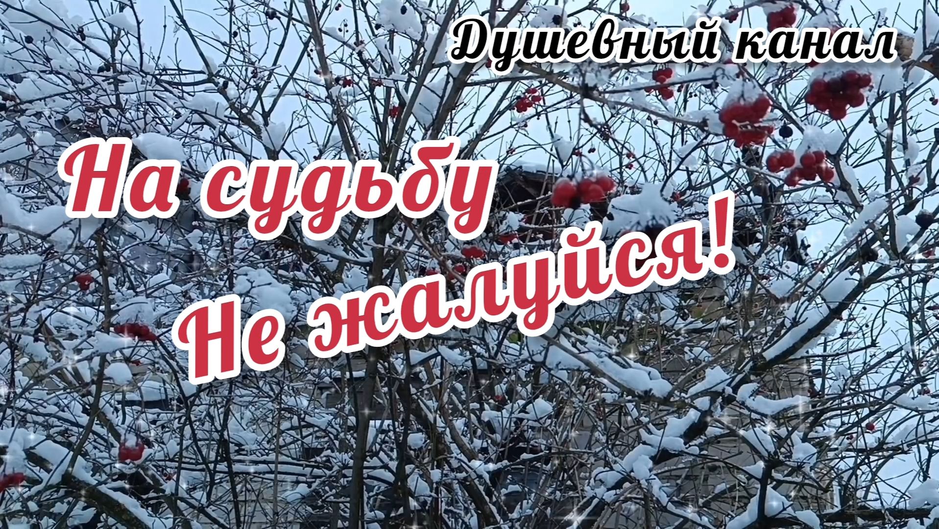 ОЧЕНЬ МИЛАЯ ПЕСНЯ! НА СУДЬБУ НЕ ЖАЛУЙСЯ смотреть онлайн