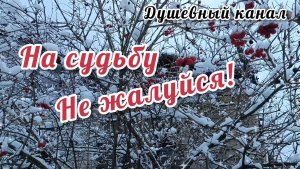 ОЧЕНЬ МИЛАЯ ПЕСНЯ! НА СУДЬБУ НЕ ЖАЛУЙСЯ