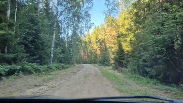 Едем по лесной дороге