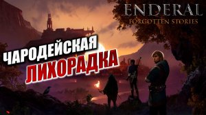 ЧАРОДЕЙСКАЯ ЛИХОРАДКА | Enderal - Forgotten Stories / Эндерал | #12