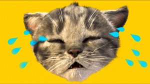 Приключение милого котенка и м