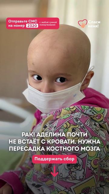 Мы вынуждены бить тревогу! В последние дни состояние Аделины ухудшилось.