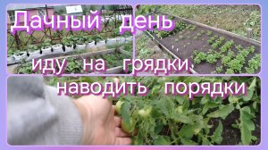 Дачный день// иду на грядки наводить порядки
