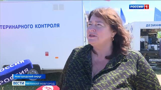 16 июля 2026 года. Межрегиональные учения в Новгородском районе смотреть онлайн