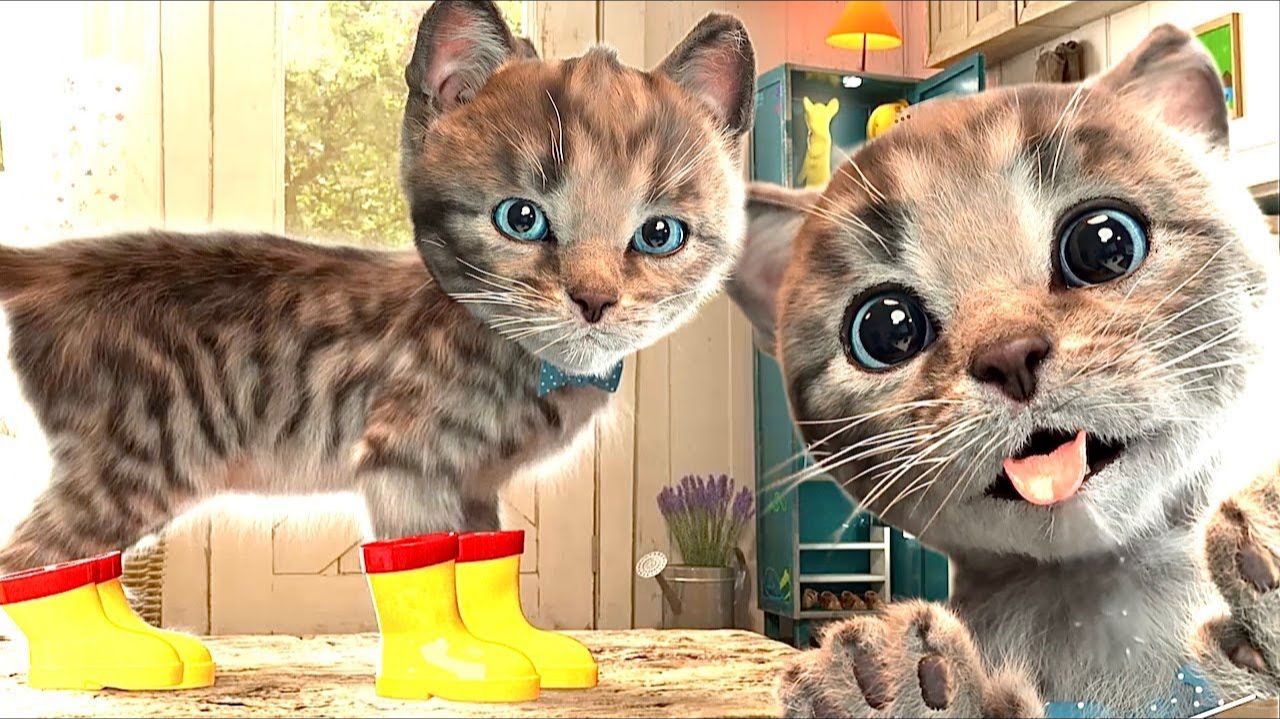 МАЛЕНЬКИЙ КОТЕНОК ДОШКОЛЬНЫЕ П