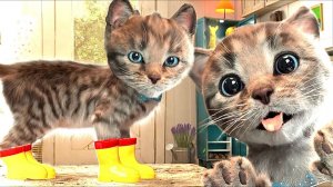 МАЛЕНЬКИЙ КОТЕНОК ДОШКОЛЬНЫЕ П
