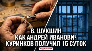 В.Шукшин. Как Андрей Иванович Куринков, ювелир, получил 15 суток. | АУДИОКНИГА.