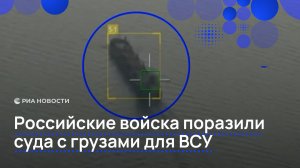 Российские войска поразили суда с грузами для ВСУ