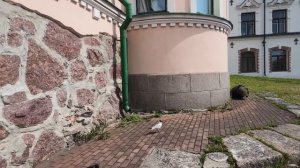 Поездка в Питер 2026. Дни 0 и 1. Немного Питера и Выборг
