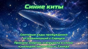 Синие киты