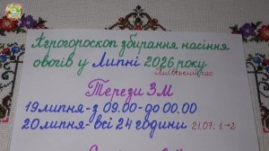 Самые Лучшие Дни Июля 2026 для Сбора Качественных Семян Овощей!