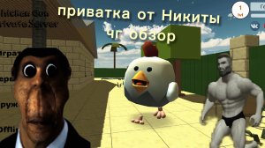 играю в приватку чг от Никиты
