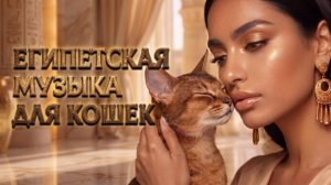 Египетская музыка для кошек . Включи это мотив для своей кошки и посмотри на ее реакцию