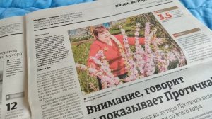 Ура!  Спустя восемь лет у меня появился хейтер.