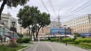 Некрасовская - Дальпресс. июль 2026. Владивосток