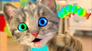 Смешной котенок, маленький кот