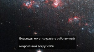Подводный мир: Завораживающие кадры из глубин океана