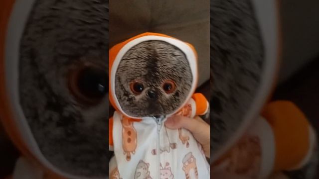 Утро с басиками смотреть онлайн