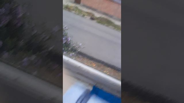 20260717_195720.mp4 смотреть онлайн