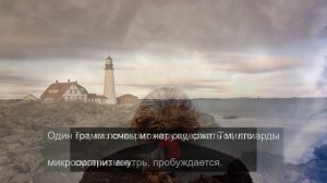 Симметрия совершенства: Идеальные кадры природы и архитектуры