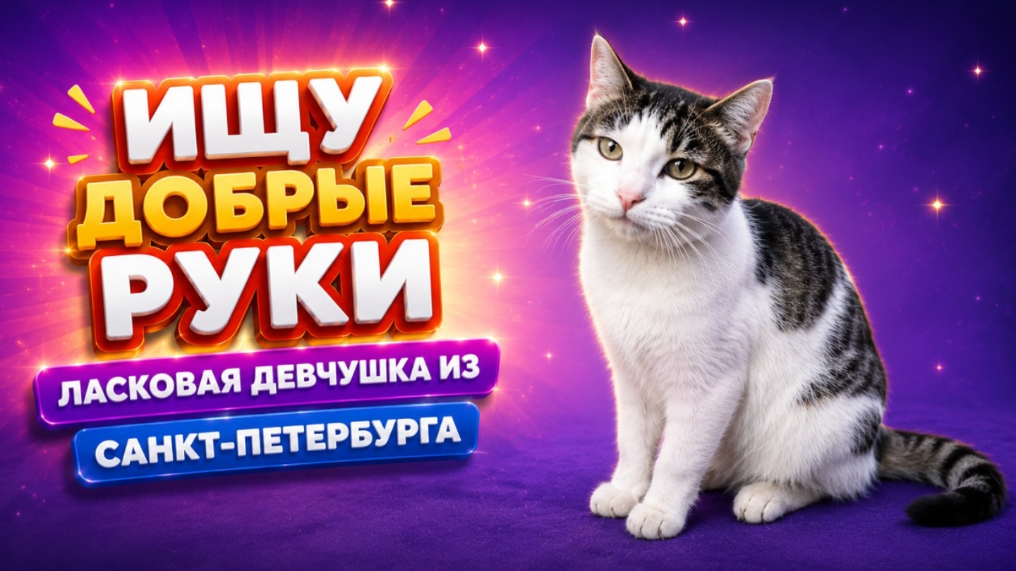 Ищу добрые руки. Ласковая девчушка из Санкт-Петербурга.