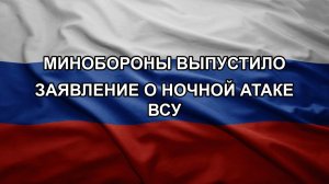Минобороны выпустило заявление о ночной атаке ВСУ