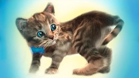 Little Kitten Preschool - Прик
