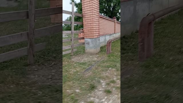 село 6 часть