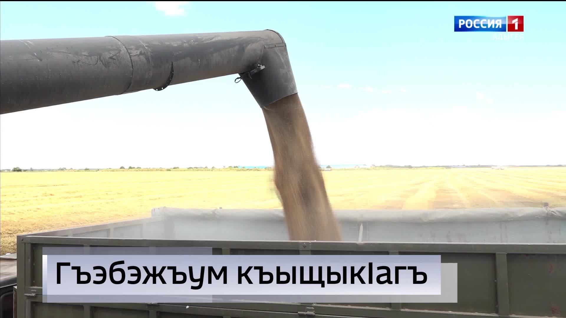 8.00 – «Къэбархэр» от 18.07.2026г. смотреть онлайн
