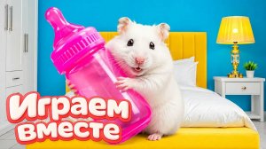 ХОМЯК ВЫБИРАЕТСЯ ИЗ СЕКРЕТНОЙ ХОМЯЧЕЙ ТЮРЬМЫ ! Забавные животные ! Супер лабиринт для хомяка №62