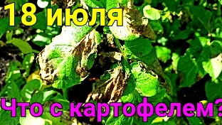 Прохладно, капризы погоды