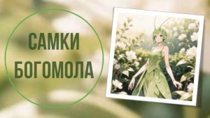 Самки богомола