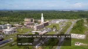 Вдохновение в каждом пикселе: Подборка для творческого кризиса