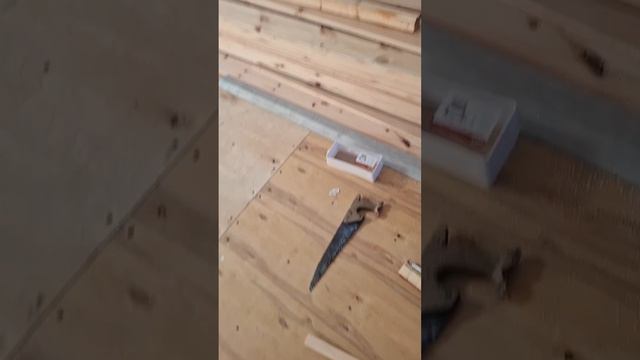 1000064197.mp4 (Собака слушает о технологии устройства вентиляции из ванной в доме А-фрейм) смотреть онлайн