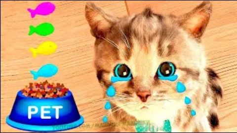 Играйте с маленькими котятами