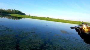 ОЗ Тачькино,бомбическая рыбалка,крупный карась.