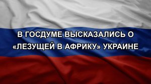 В Госдуме высказались о «лезущей в Африку» Украине