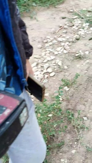 ищем клад