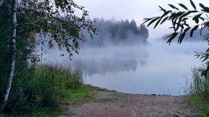 Туман. Исцеляющая сила музыки. (С.В. Рахманинов)