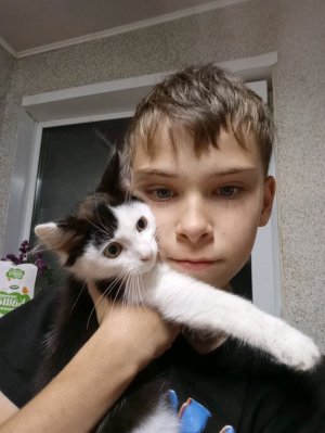 нет это не конец