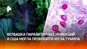 Массовая диарея охватила США из-за зараженного паразитами салата: виноват Трамп?