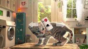 Игры про маленьких котят iOS,
