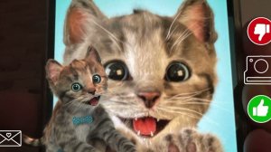 ПРИКЛЮЧЕНИЯ МАЛЕНЬКОГО КОТЕНКА